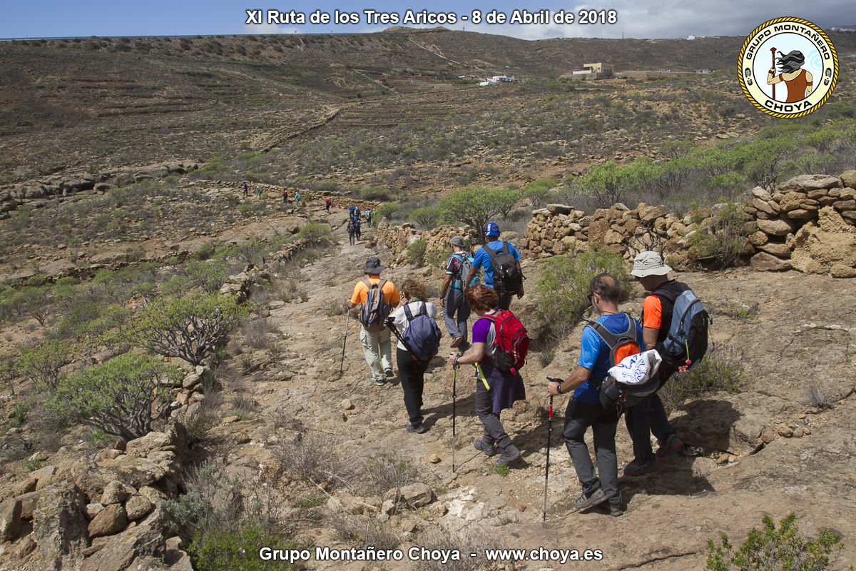 Ruta de Los Tres Aricos - Camino los Ovejeros - Planta de la Virgen